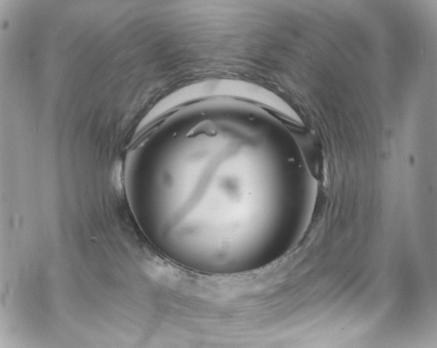 X0000070360041200606161303