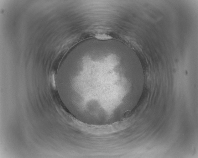 X0000070360042200606161303