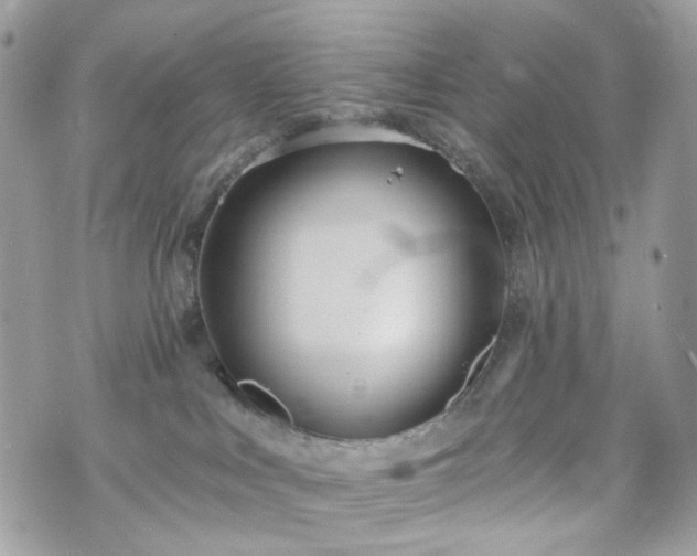 X0000070360043200606161303