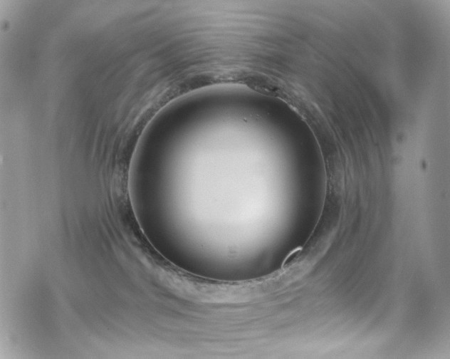 X0000070360044200606161303