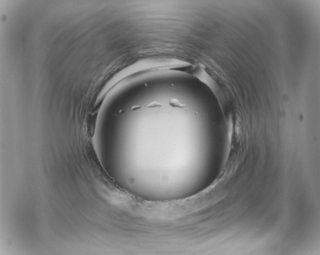 X0000070360045200606161303