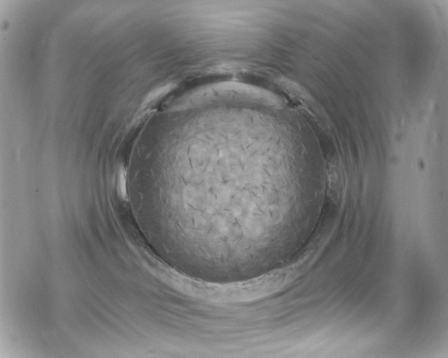 X0000070360046200606161303