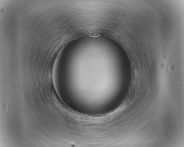 X0000070360048200606161303