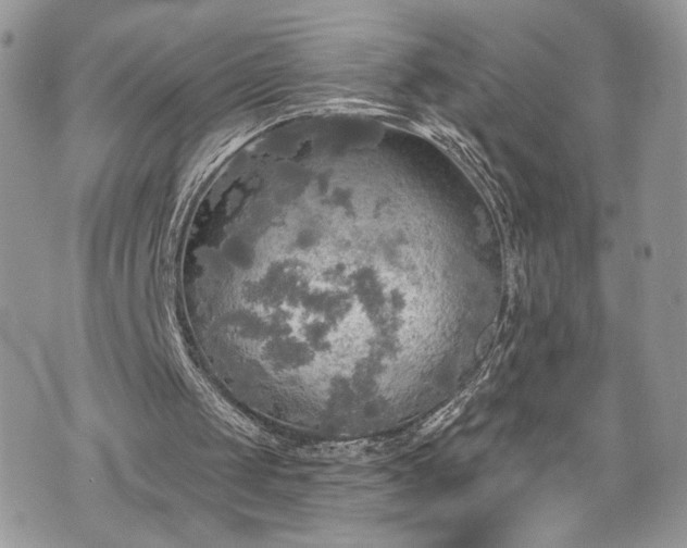 X0000070360049200606161302