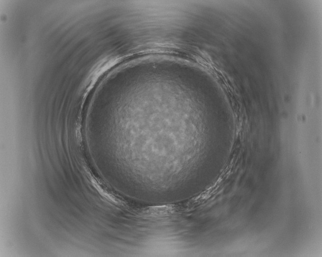 X0000070360050200606161302