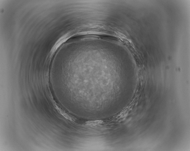 X0000070360051200606161302