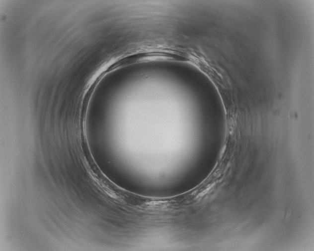 X0000070360052200606161302