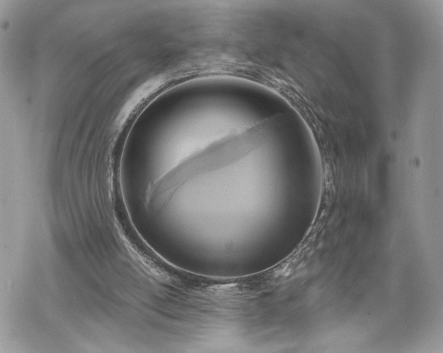 X0000070360054200606161302