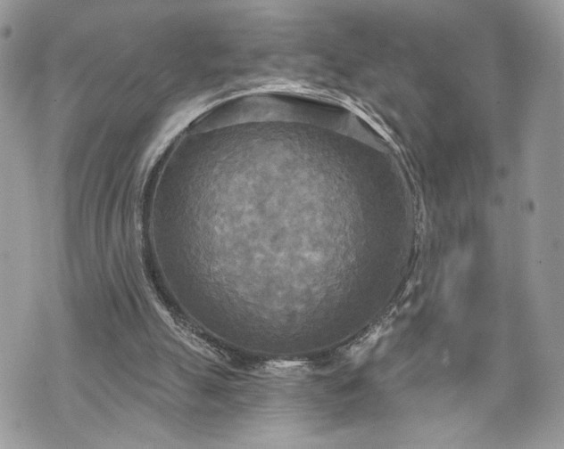 X0000070360055200606161302