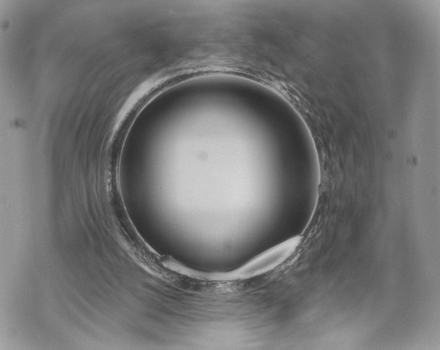 X0000070360056200606161302