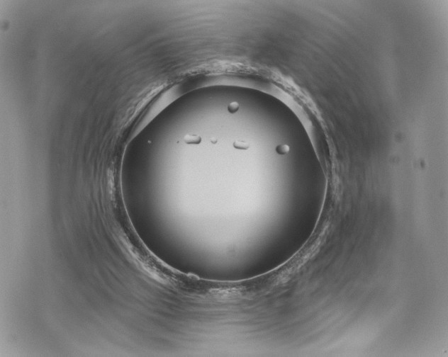 X0000070360057200606161302