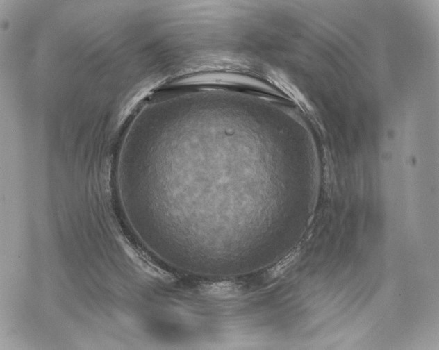 X0000070360058200606161302