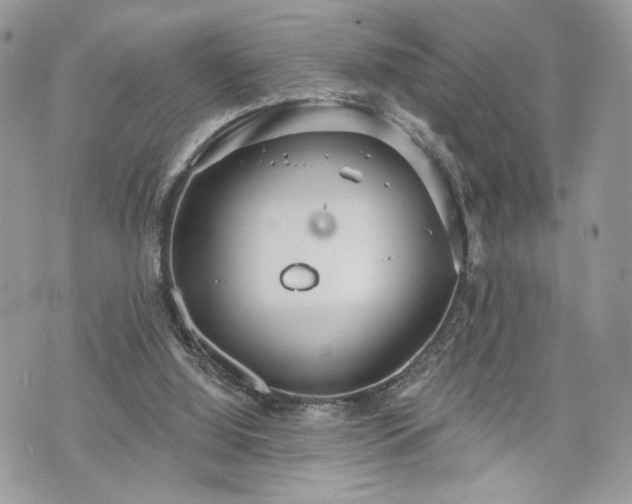 X0000070360060200606161302