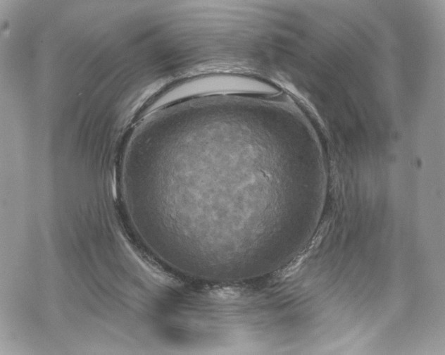 X0000070360062200606161302