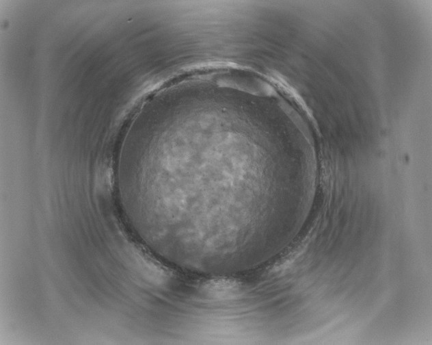 X0000070360063200606161302