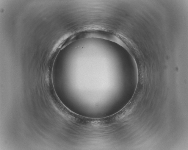 X0000070360064200606161302