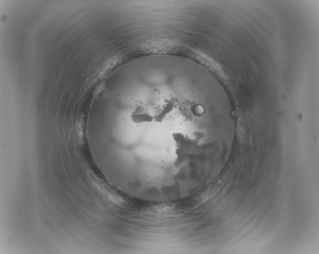 X0000070360065200606161302