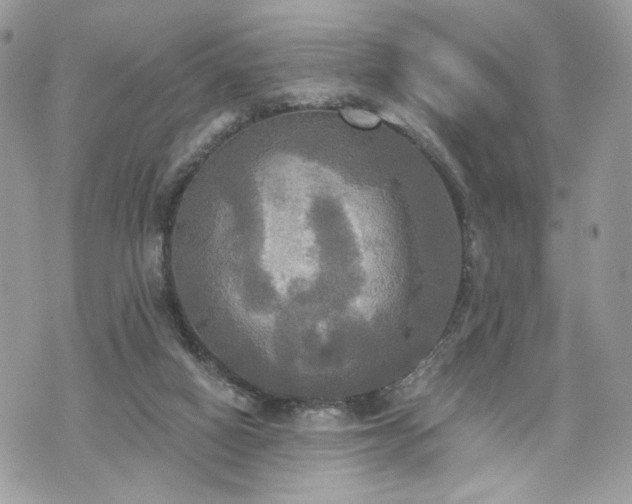 X0000070360066200606161302