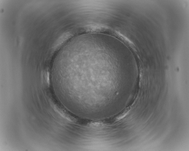 X0000070360067200606161302