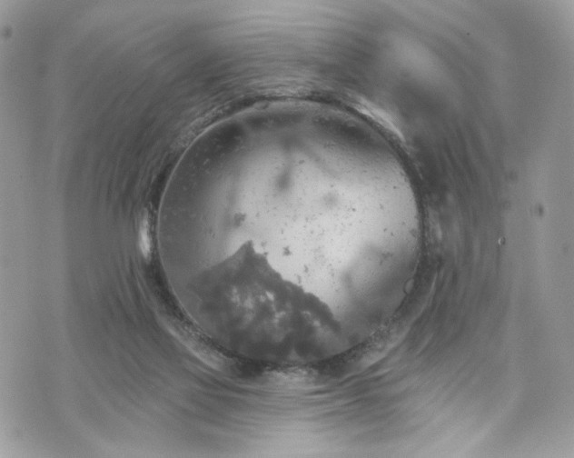 X0000070360069200606161302