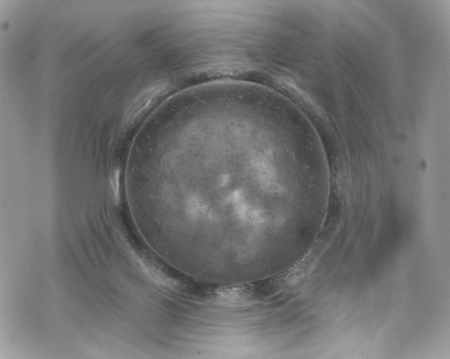 X0000070360070200606161302