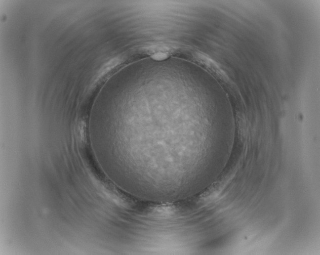 X0000070360071200606161302