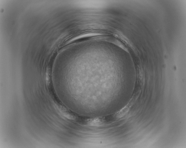 X0000070360074200606161302