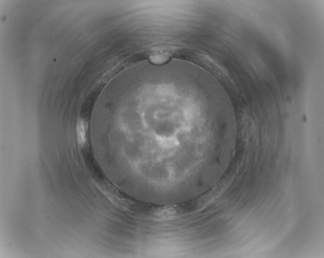 X0000070360075200606161302