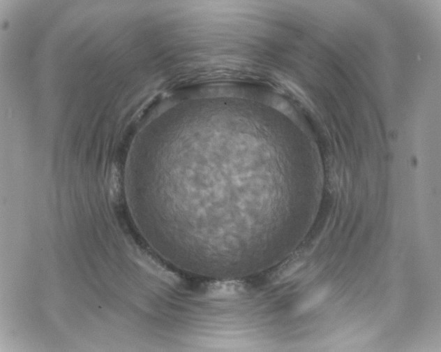 X0000070360077200606161302