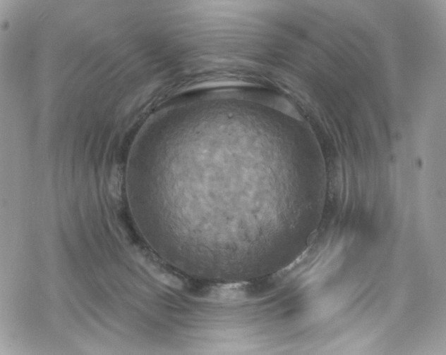 X0000070360078200606161302