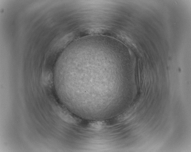 X0000070360079200606161302