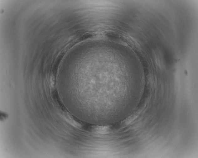 X0000070360081200606161302