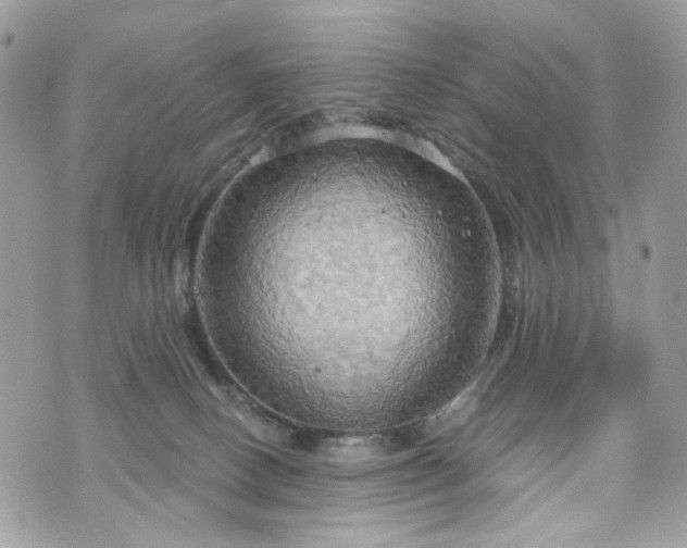 X0000070360082200606161302