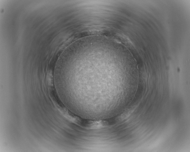 X0000070360083200606161302