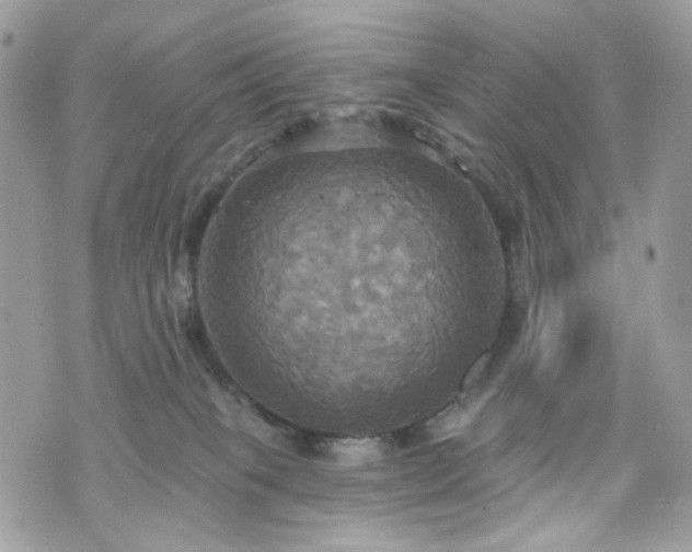 X0000070360085200606161302