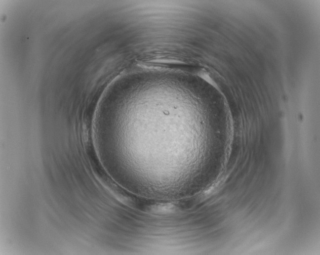 X0000070360086200606161302