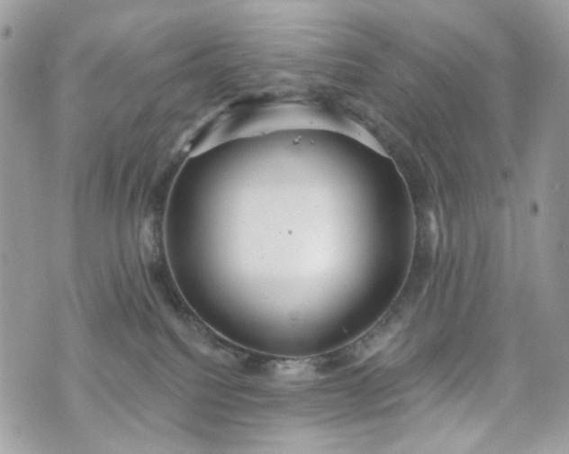 X0000070360088200606161302