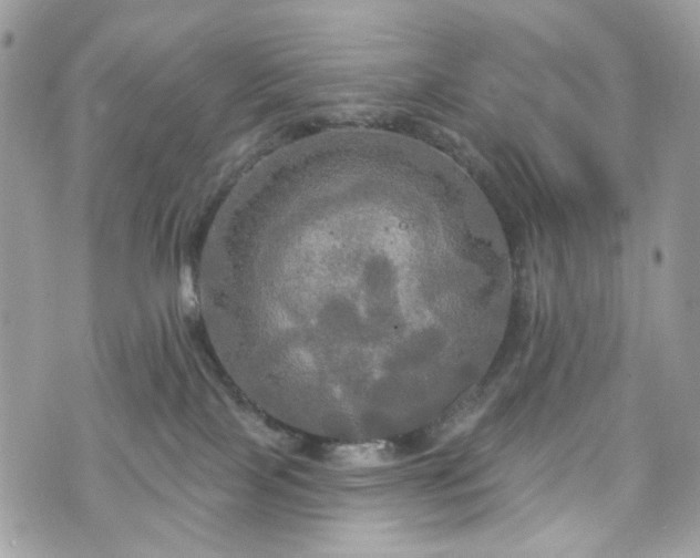 X0000070360089200606161302