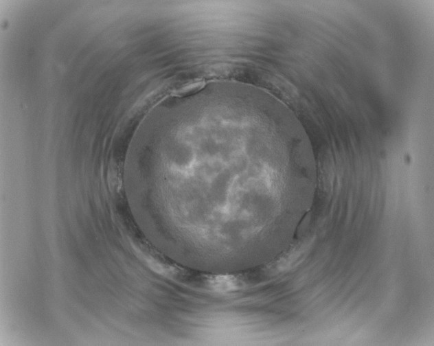 X0000070360091200606161302