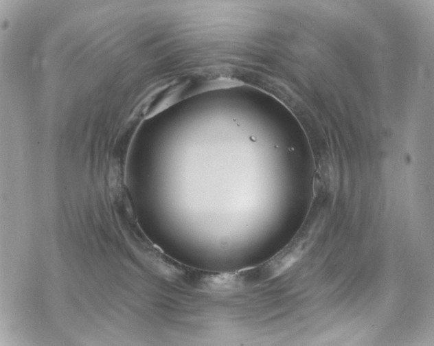 X0000070360092200606161302