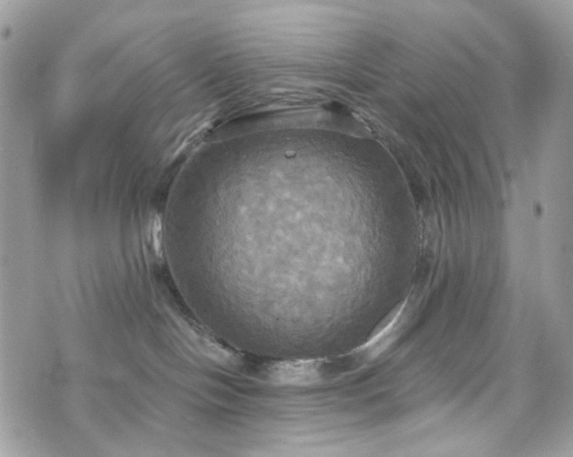 X0000070360094200606161303