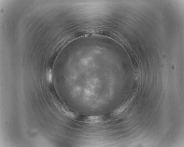 X0000070360095200606161303