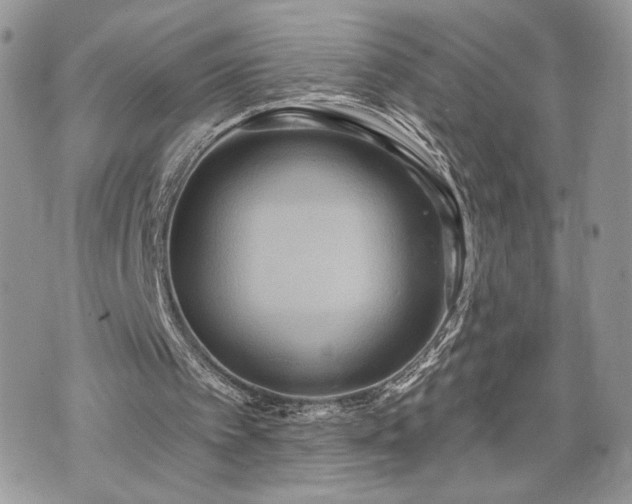 X0000070360097200606161302