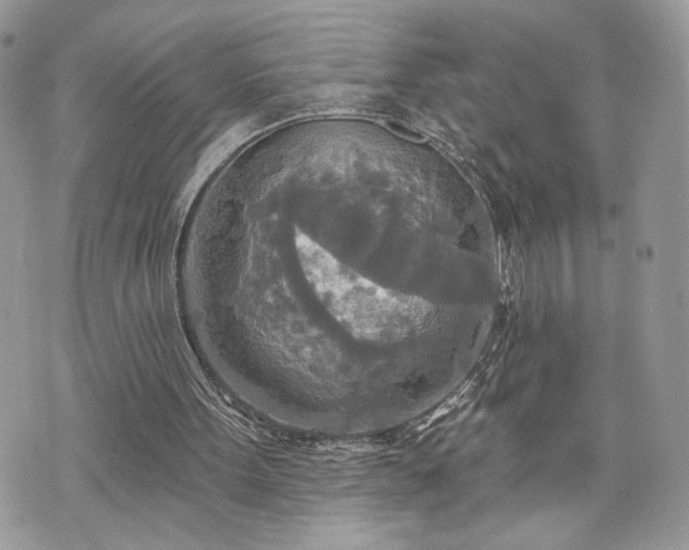 X0000070360099200606161302