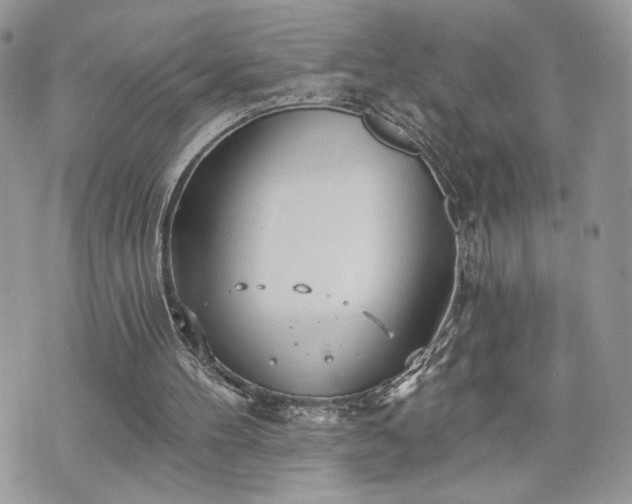 X0000070360100200606161302