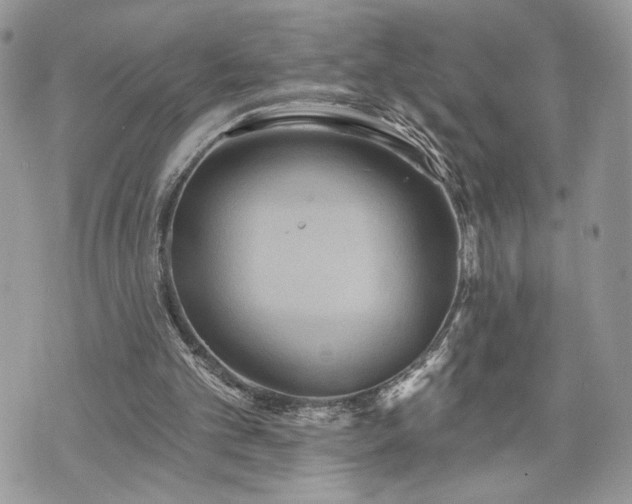 X0000070360101200606161302