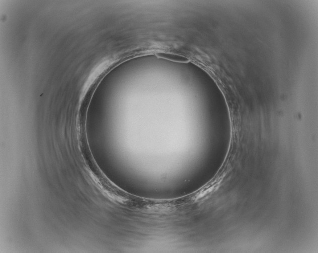 X0000070360102200606161302