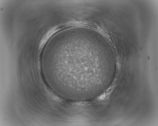 X0000070360103200606161302