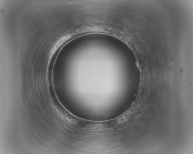 X0000070360104200606161302