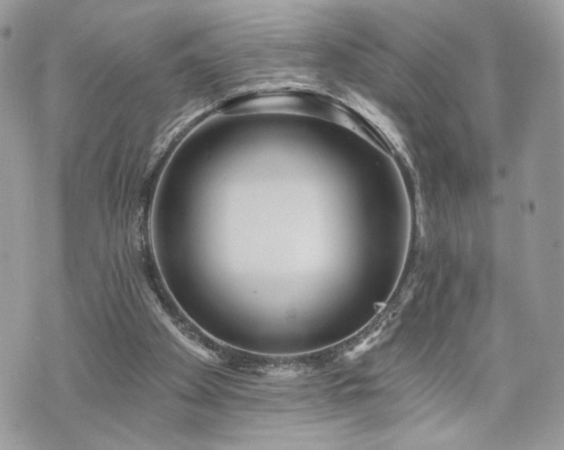 X0000070360105200606161302